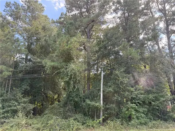 Lot 3 E Williams Street, Autryville, NC 28318