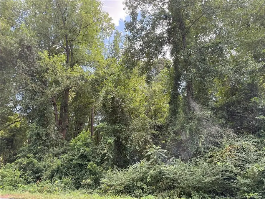 Lot 3 E Williams Street, Autryville, NC 28318 - #2