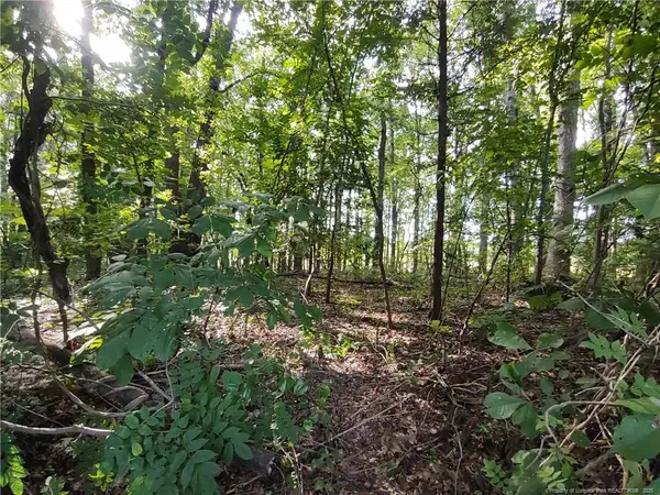 Lot 8 Lemon Springs Road, Sanford, NC 27332