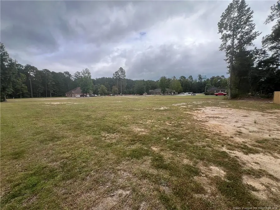 Wesley Pines Road, Lumberton, NC 28358 - Image #3