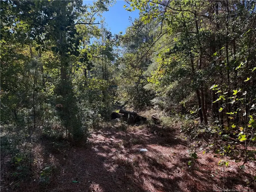 2608 Blowing Rock Court, Hope Mills, NC 28348 - #2