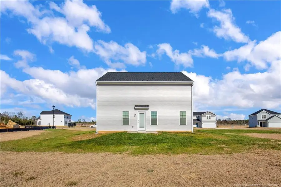 221 Buggy Top Lane, Autryville, NC 28318 - #2