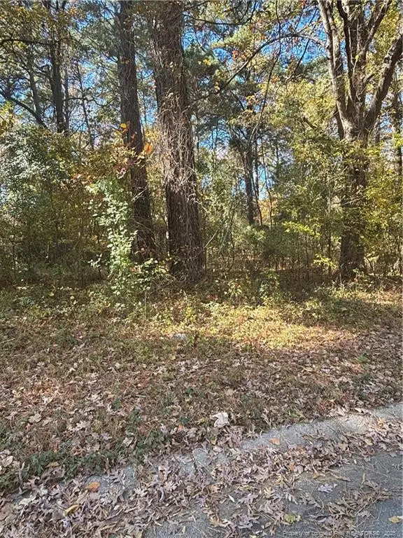 893 Marsh Street, Fayetteville, NC 28301 - Image #3