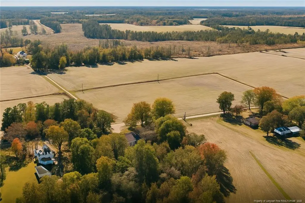 Lot 3 Barnesville Church Road, Orrum, NC 28369 - #1