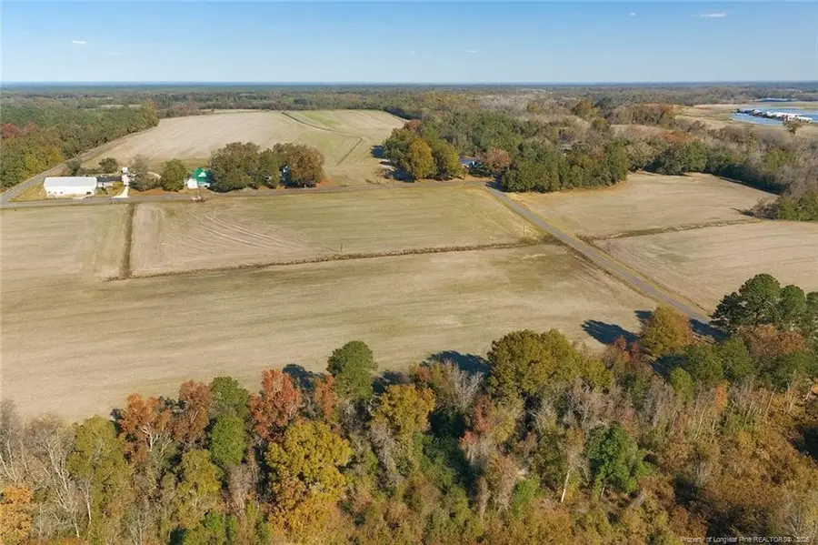 Lot 3 Barnesville Church Road, Orrum, NC 28369 - #2