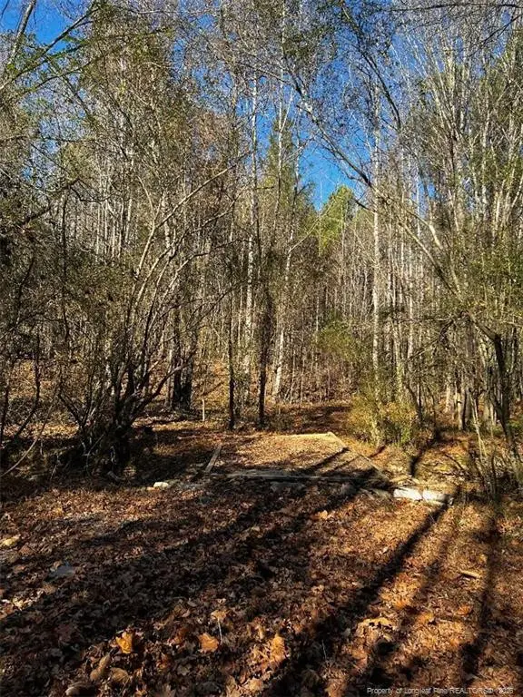 0 J Dowdy Road, Goldston, NC 27252 - #3