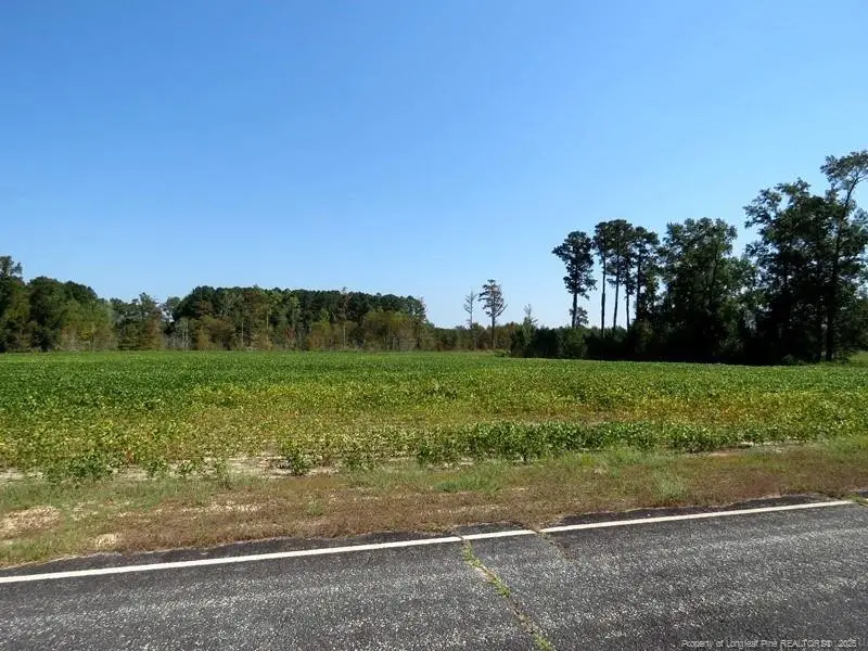 TBD Cowpen Swamp Road, Fairmont, NC 28340 - #2