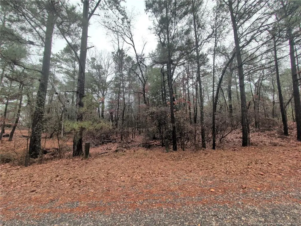 1211 Laurel Circle, Vass, NC 28394 - #1