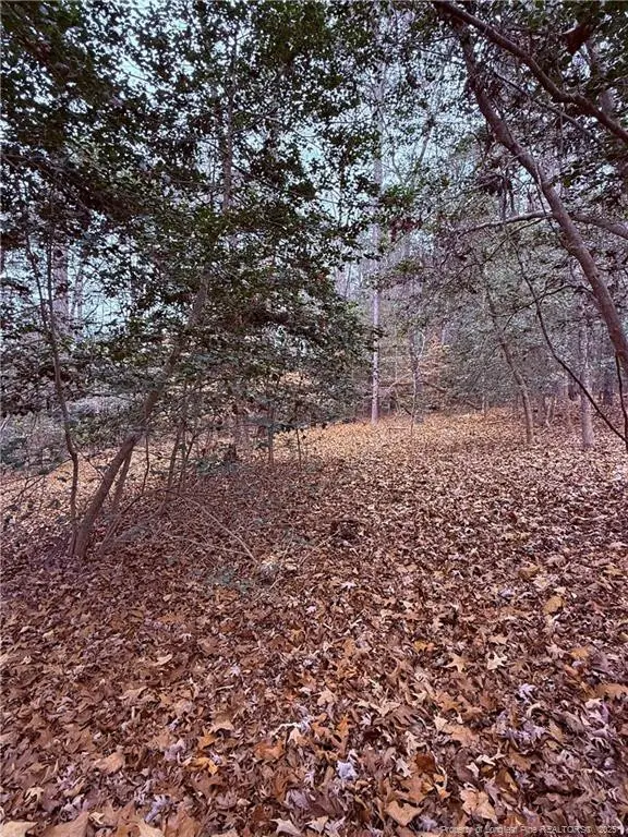 5018 Mockingbird Lane N, Sanford, NC 27332 - Image #1