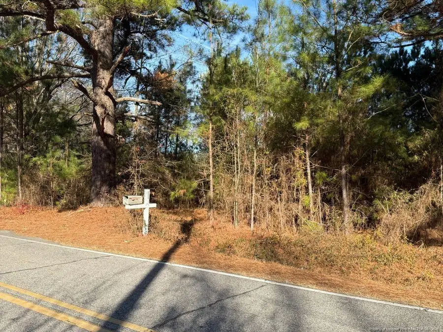 3237 Old Stage Road S, Erwin, NC 28339 - #2