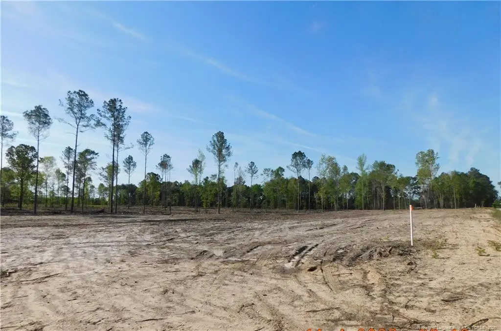 Lot 9 Sand Rock Road, Fairmont, NC 28340 - #1