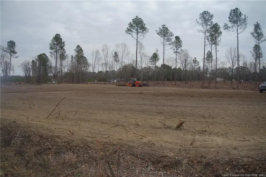 Lot 11 Sand Rock Road, Fairmont, NC 28340 - #3