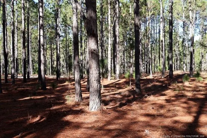 Stuarts Mill Road, Fairmont, NC 28340 - #3