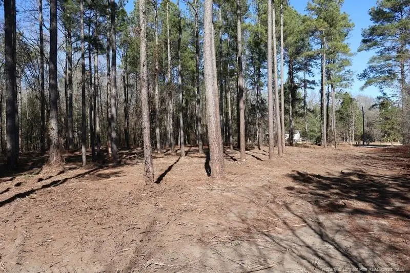 TBD Nc Hwy 130 Highway, Fairmont, NC 28340 - Image #2