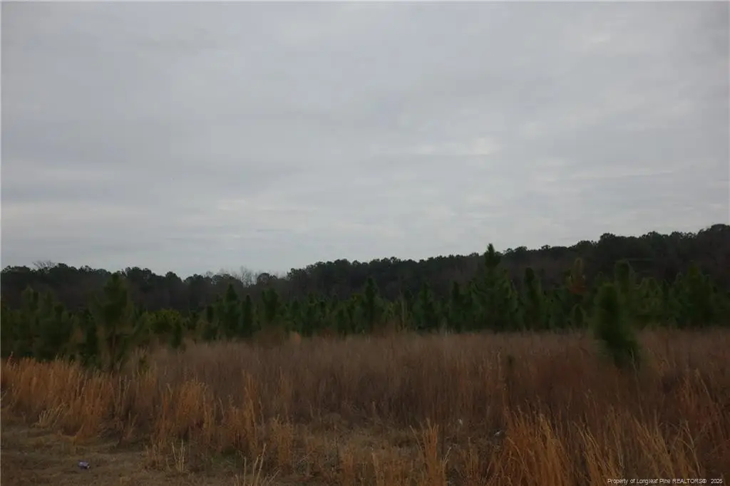 Lot 29 Stuarts Mill Road, Fairmont, NC 28340 - #1