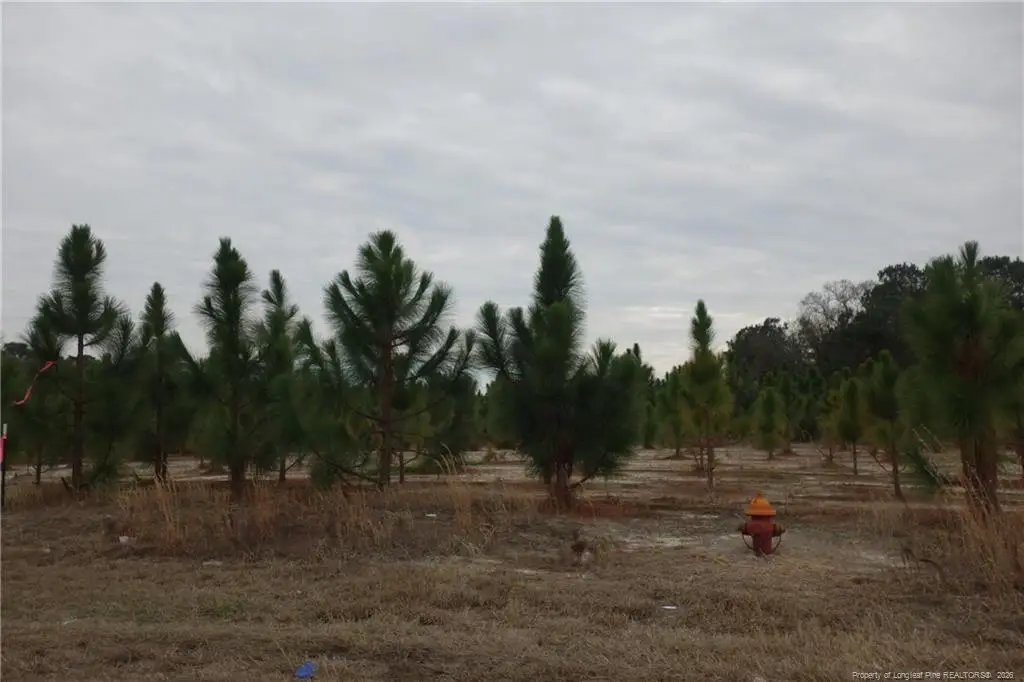 Lot 35 Stuarts Mill Road, Fairmont, NC 28340 - #1