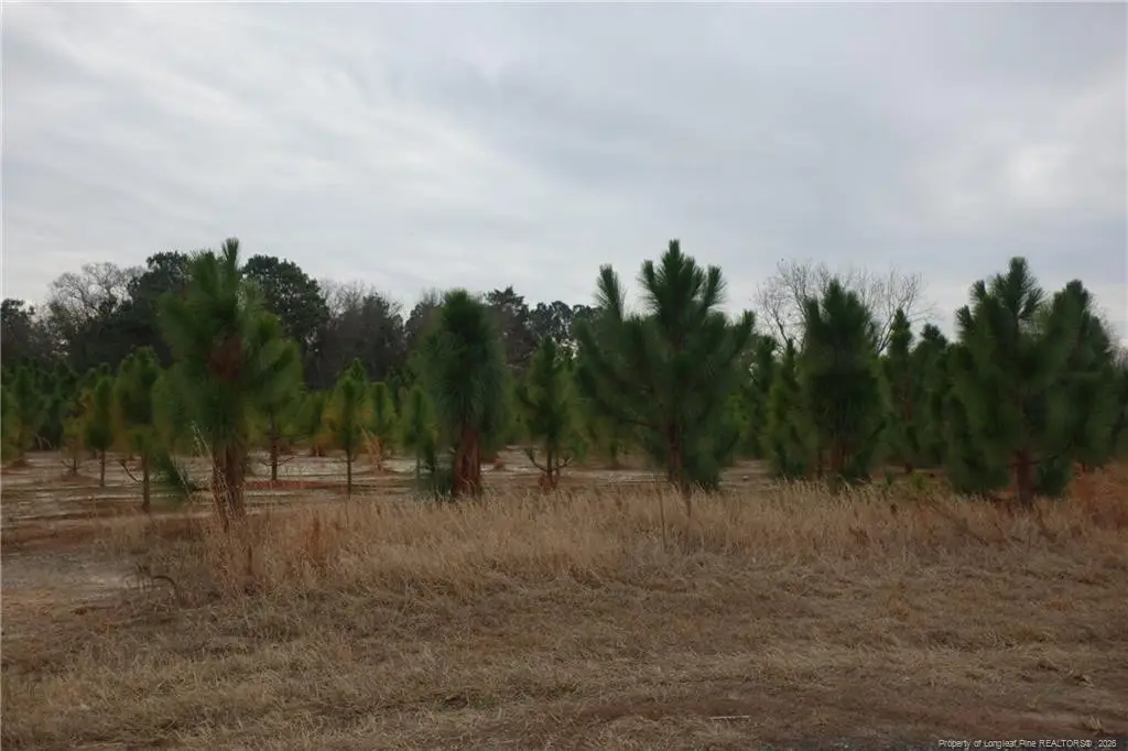 Lot 38 Stuarts Mill Road, Fairmont, NC 28340 - #1