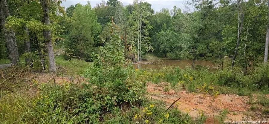 10 Jasmine Road, Fuquay Varina, NC 27526 - #2