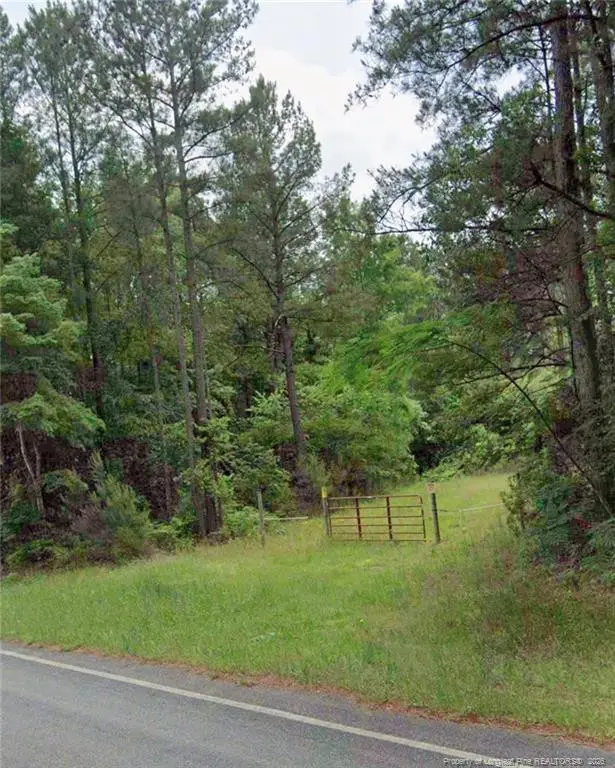 Lot 3 S Plank Road, Sanford, NC 27330 - #3