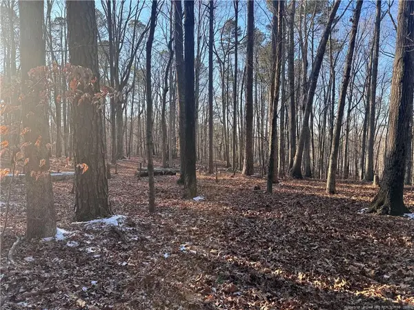 Oldham Lake Road, Sanford, NC 27330