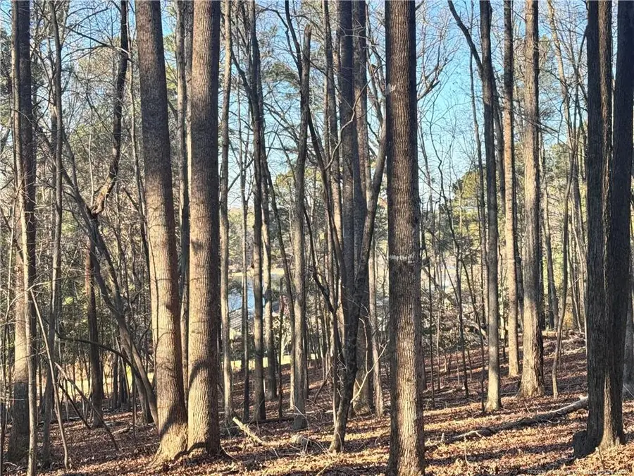 Oldham Lake Road, Sanford, NC 27330 - #2