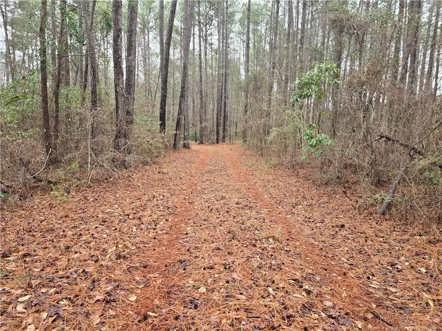 488 Green Street, Parkton, NC 28371 - #2