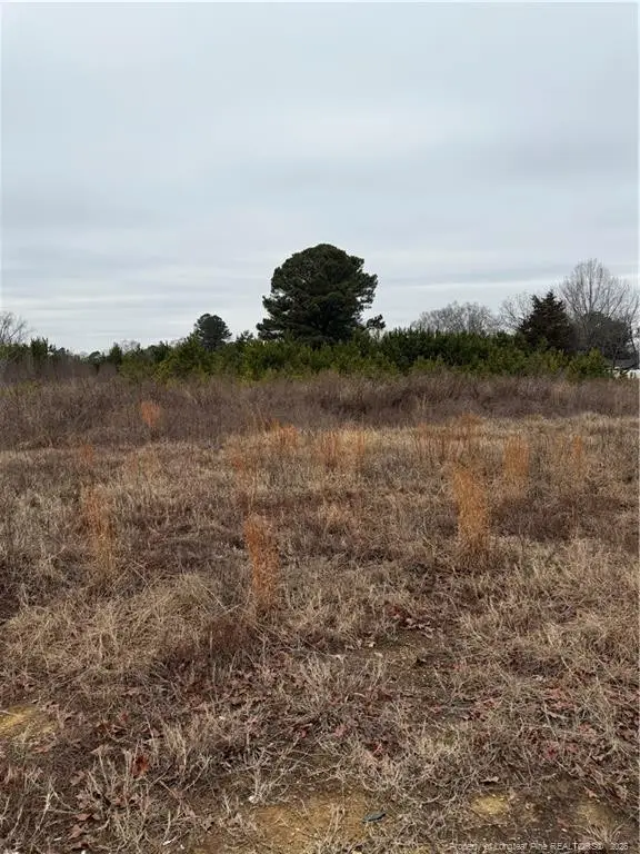 2602 Erwin Road, Dunn, NC 28334 - #3