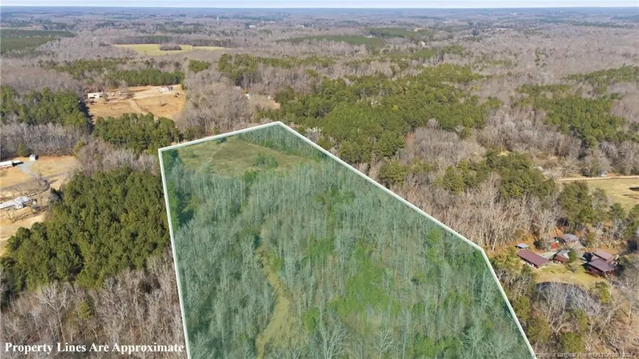 1600 Mt. Willing Road, Efland, NC 27243 - #3