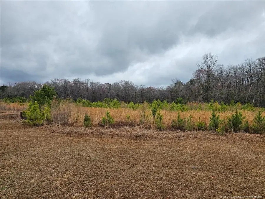 35544 Hwy 210 Highway, Currie, NC 28435 - #3