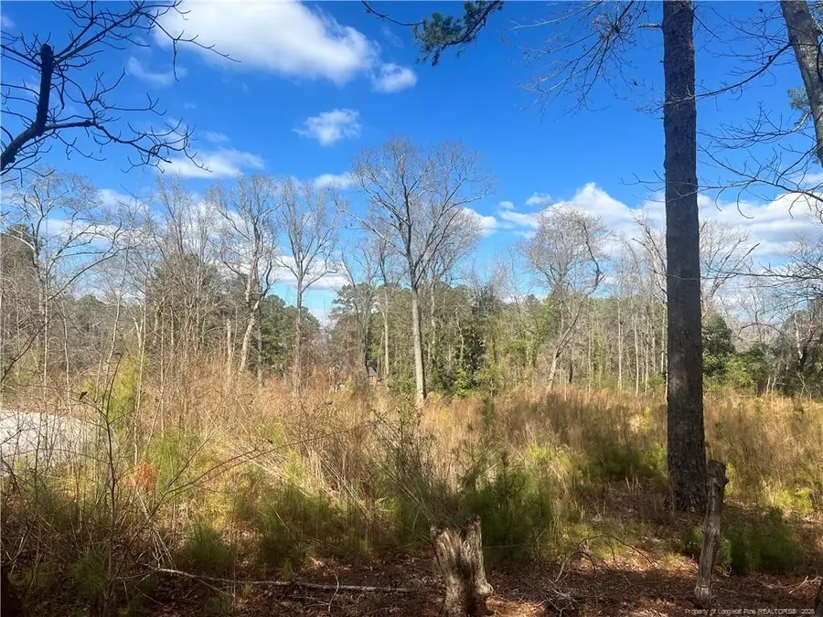 Lot 4 Polaris Court, Raeford, NC 28376 - #2