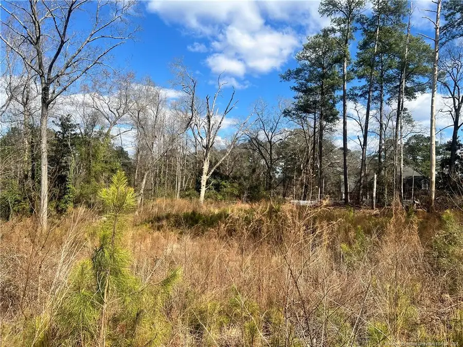 Lot 4 Polaris Court, Raeford, NC 28376 - #3