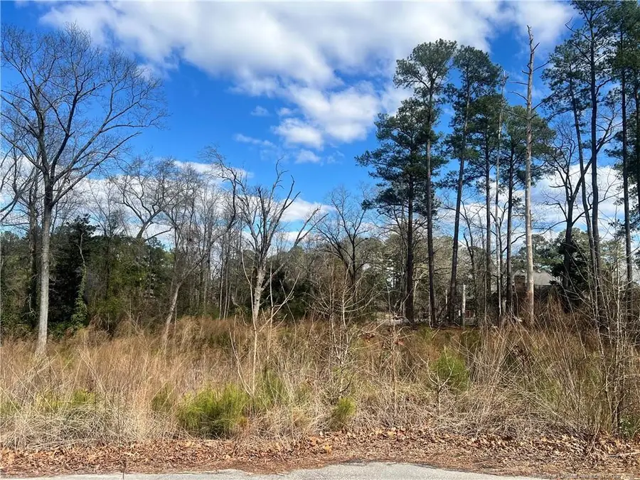 Lot 3 Polaris Court, Raeford, NC 28376 - #2