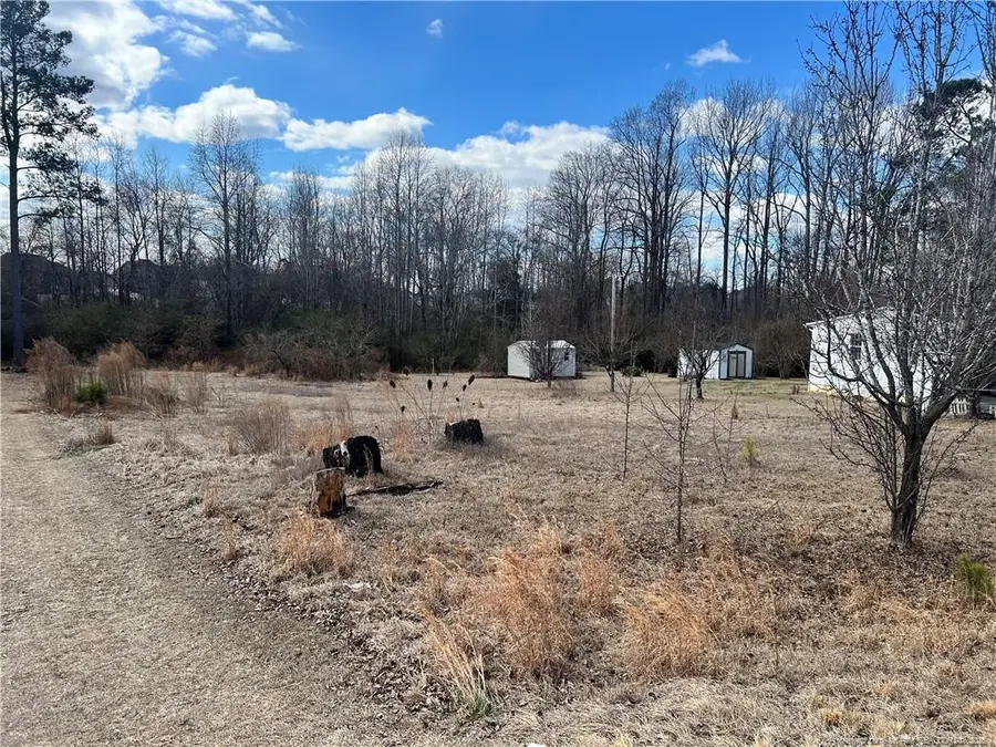 1165 Townsend Road, Raeford, NC 28376 - #3