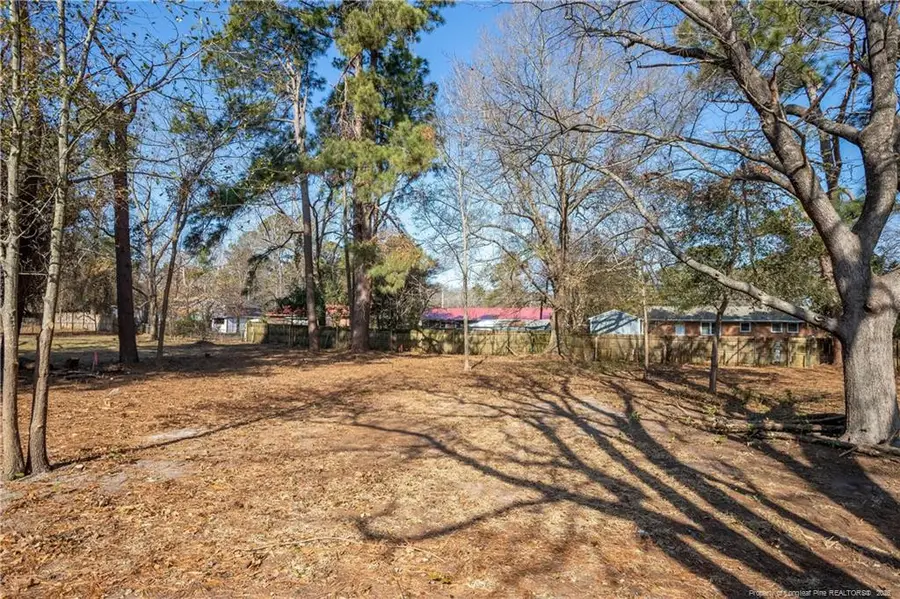 226 Odell Road, Spring Lake, NC 28390 - #3