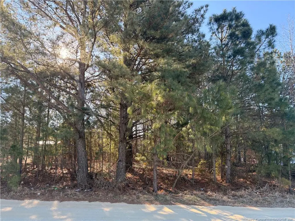 Brownestone Lane, Dunn, NC 28334 - #1