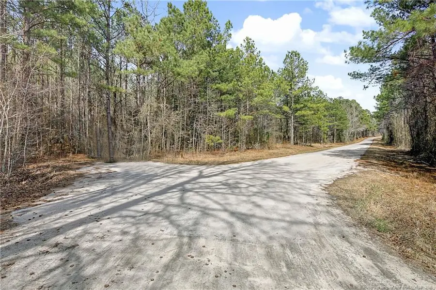 Creeksville Church Road, Spring Lake, NC 28390 - #2