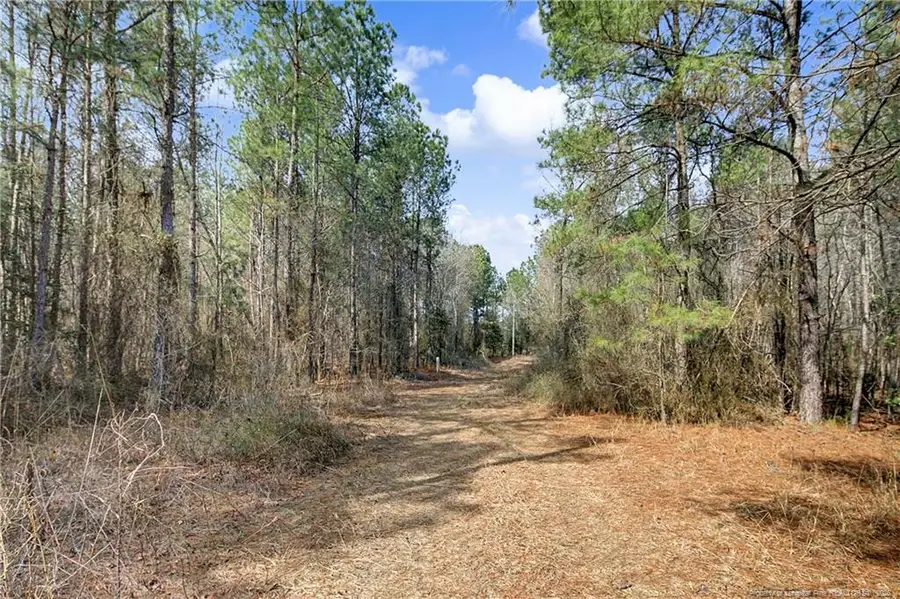 632 Creeksville Church Road, Spring Lake, NC 28390 - #3