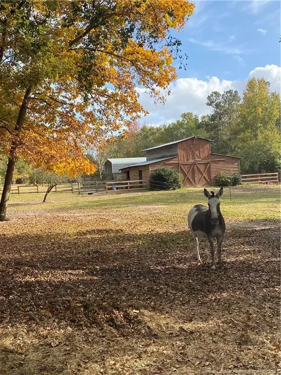 449 Montrose Road, Raeford, NC 28376 - #3