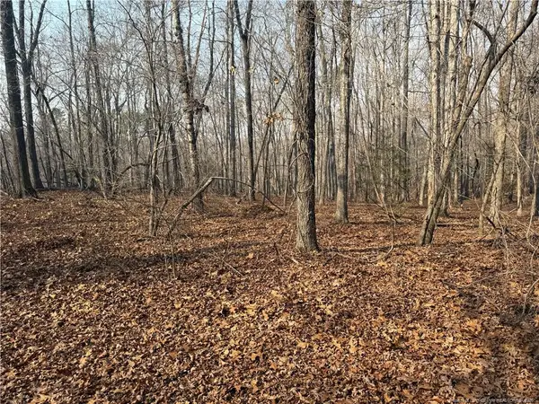 15b Winners Circ Lane, Carthage, NC 28327