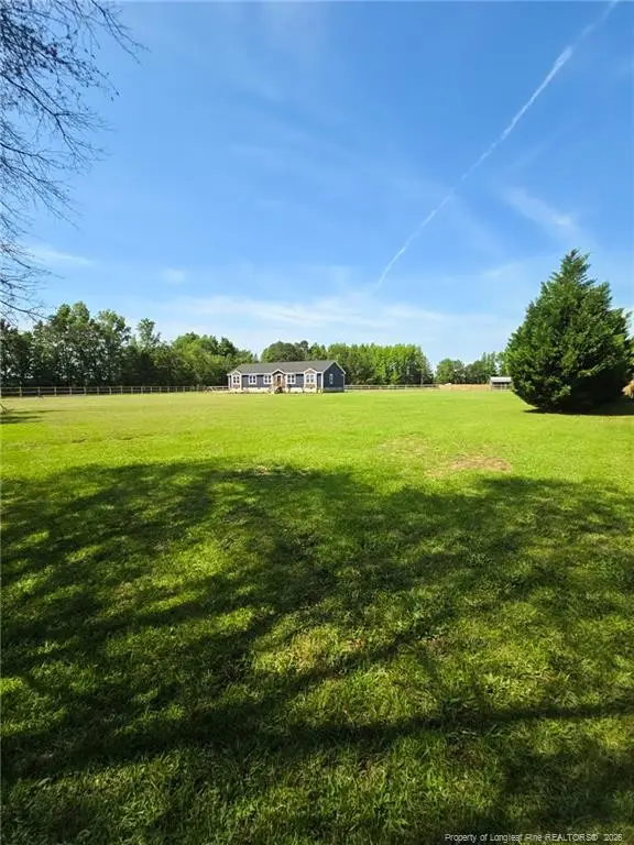 9109 Chickenfoot Road, Saint Pauls, NC 28384 - #3