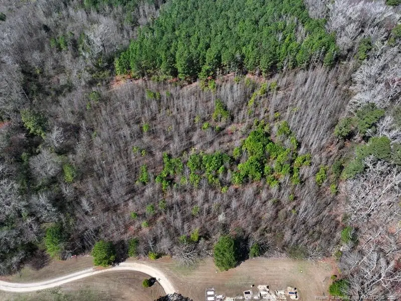 Glory Light Road, Fairmont, NC 28340 - #2