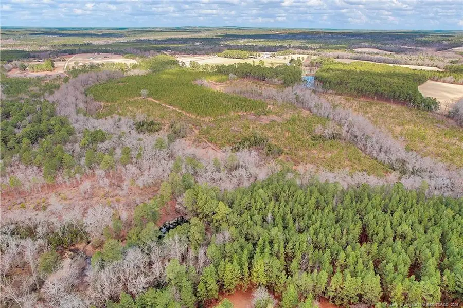 TBD Montrose (lot 3) Road, Raeford, NC 28376 - #3