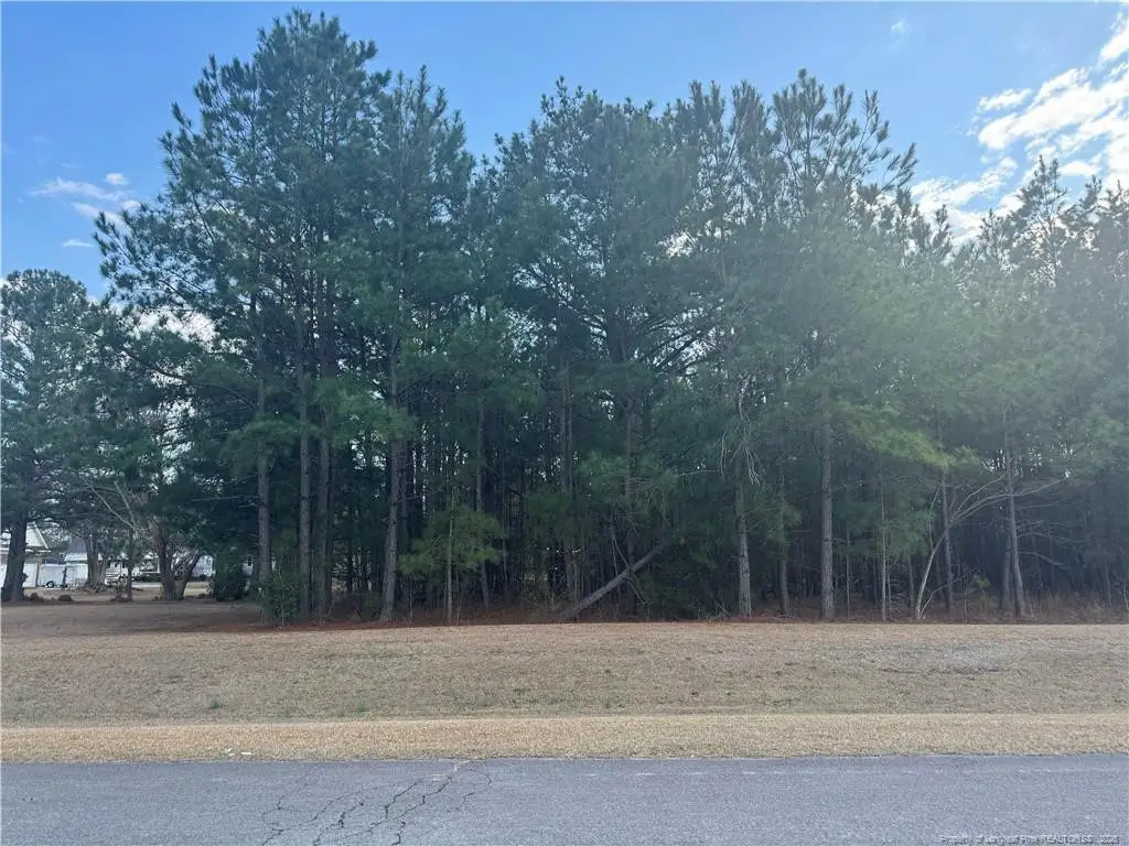 Saddlebred Lane, Raeford, NC 28376 - #1