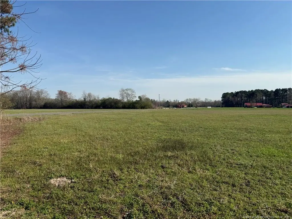 Mcquage Road, Raeford, NC 28376 - #1