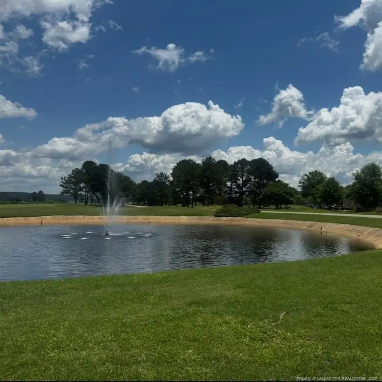 355 Marigold Lane, Vass, NC 28394 - #2