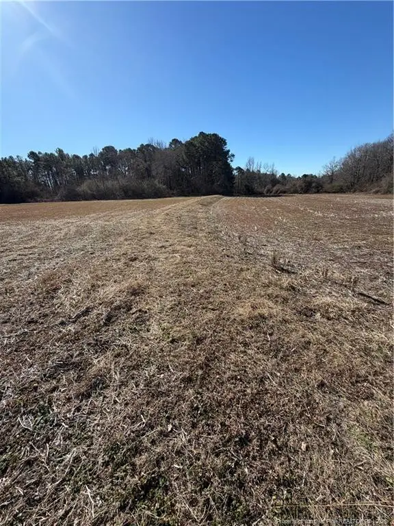 TBD Rosser Pittman Road, Sanford, NC 27332 - #3