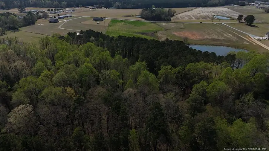 Hannah Creek Road, Benson, NC 27504 - #2