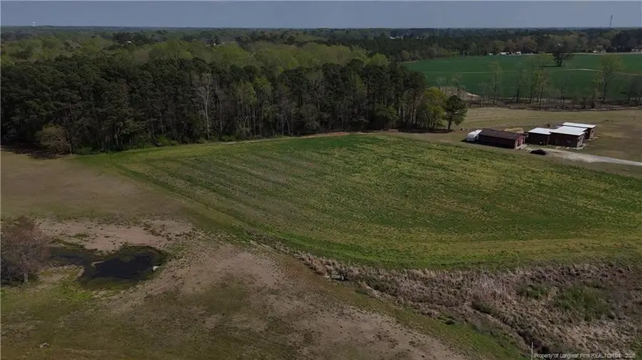 Hannah Creek Road, Benson, NC 27504 - #3