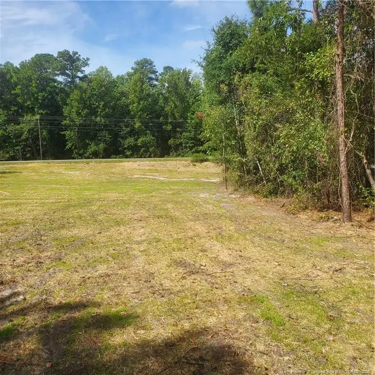TBD Rockfish Road, Raeford, NC 28376 - #1