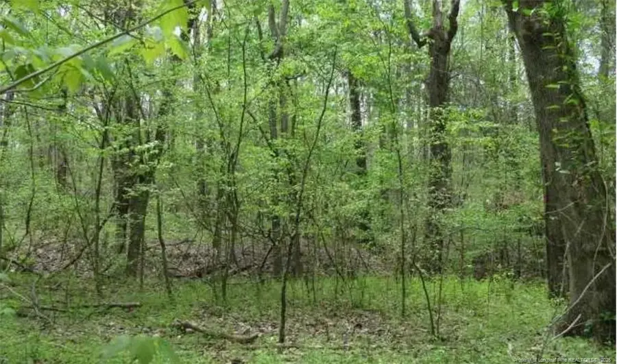 110 Jafar Lane, Statesville, NC 28625 - #3